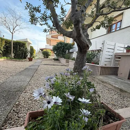 Дом отдыха Casa Renato 1 *
